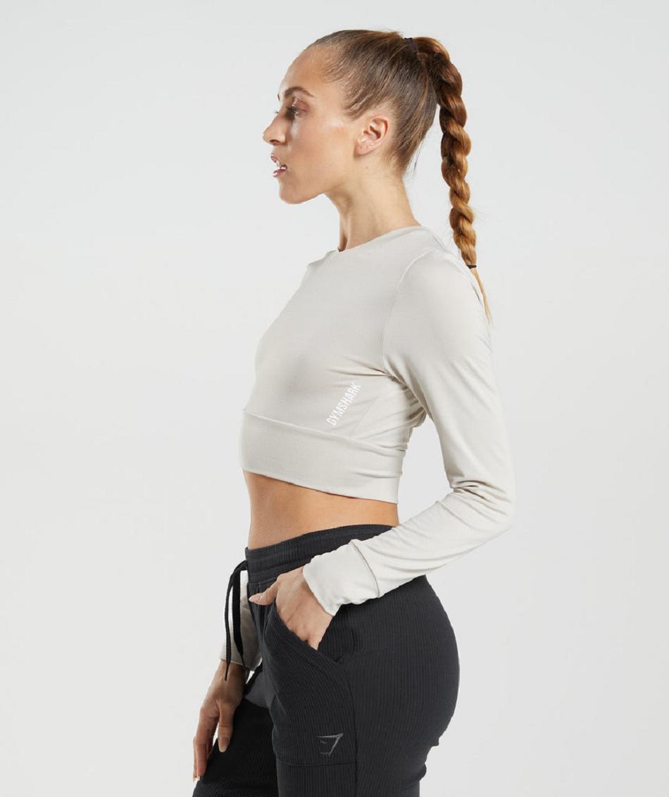 Gymshark Pause Open Back Ženske Dugi Rukav Sive | HR 3509SGL